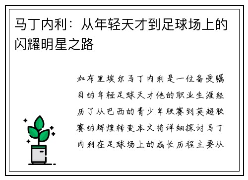 马丁内利：从年轻天才到足球场上的闪耀明星之路