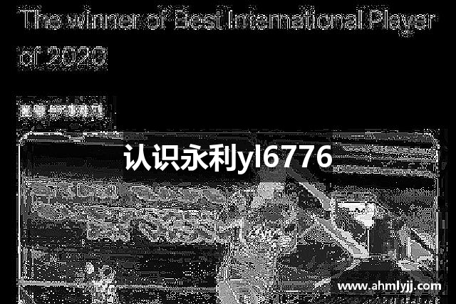 认识永利yl6776